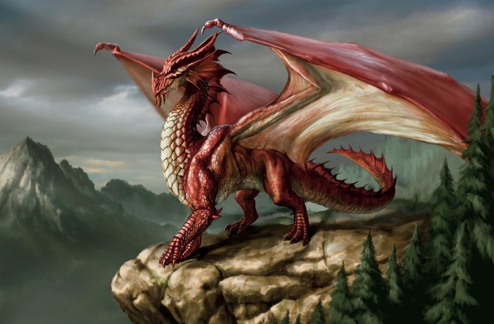 Dragão
